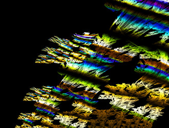 Similar image 21830323