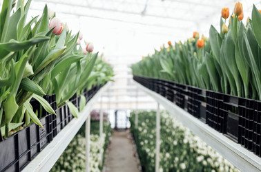 Similar image 21838995