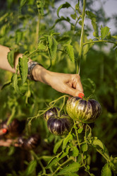 Similar image 21839004