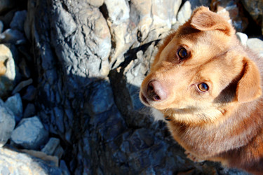 Similar image 21832990