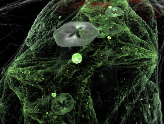 Similar image 21830336