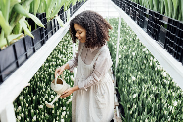 Similar image 21836643