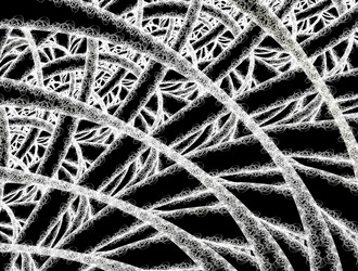 Similar image 21830099