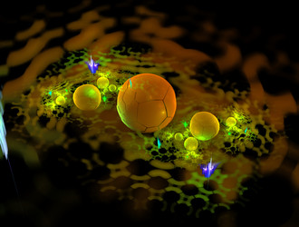 Similar image 21830100