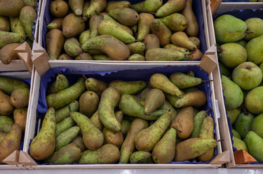 Similar image 21839259