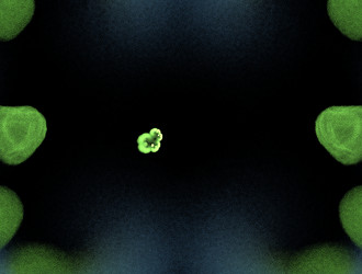 Similar image 21830357