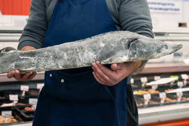 Similar image 21841110