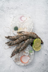 Similar image 21842453