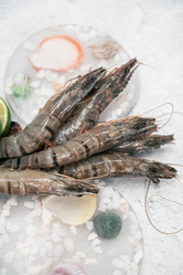 Similar image 21842454