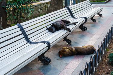 Similar image 21832991