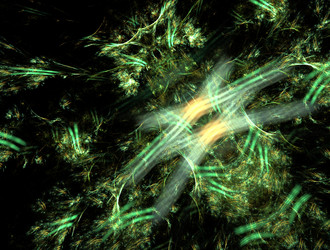 Similar image 21830365