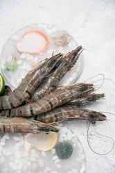 Similar image 21840420