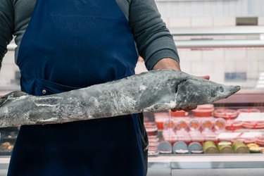 Similar image 21841526