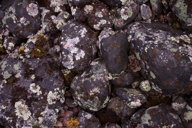 Similar image 21832150