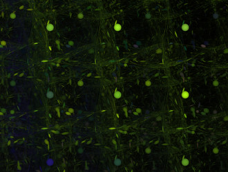 Similar image 21834779