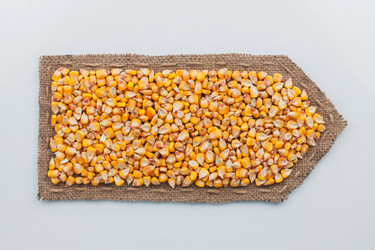 Similar image 21832156