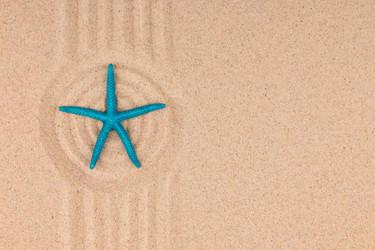 Similar image 21832167