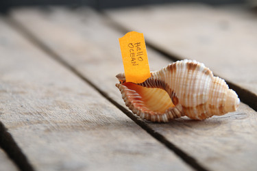 Similar image 21838479