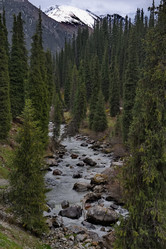 Similar image 21837051