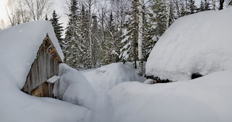 Similar image 21837058