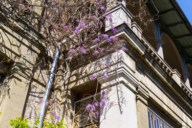 Similar image 21835197