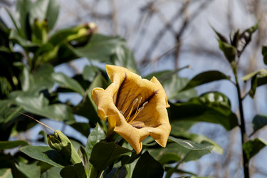 Similar image 21840519