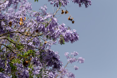 Similar image 21833341