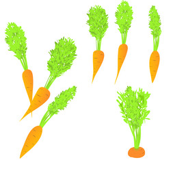 Similar image 21846280