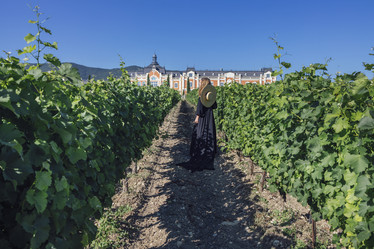 Similar image 21839051