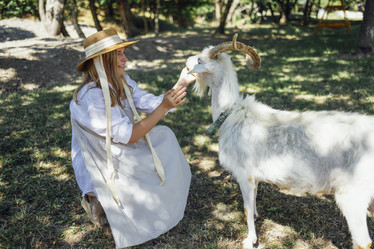 Similar image 21836649