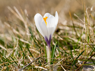 Similar image 21836667