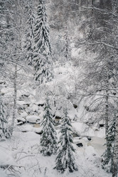 Similar image 21842793