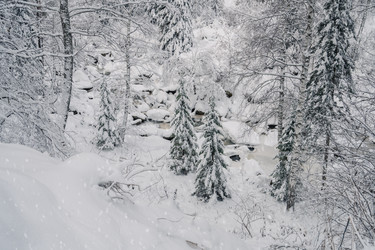 Similar image 21842794