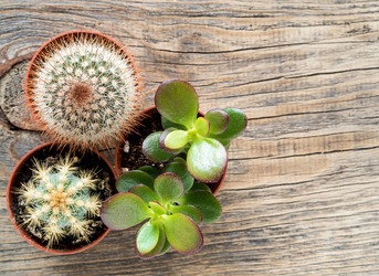 Similar image 21836118