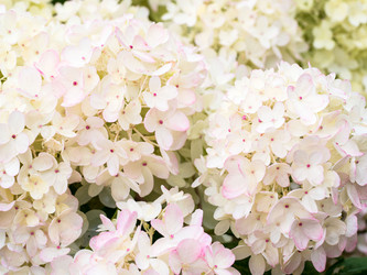 Similar image 21836136