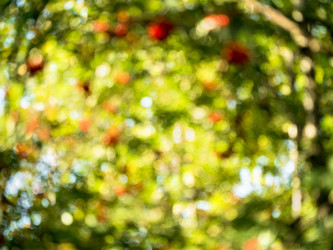 Similar image 21836143