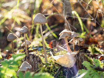 Similar image 21836148