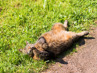 Similar image 21836165