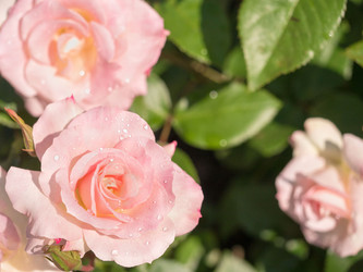 Similar image 21836166