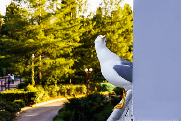 Similar image 21835201