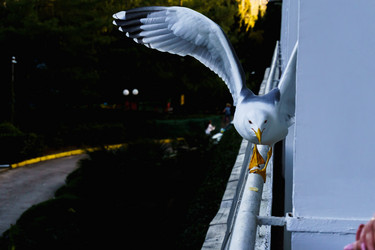 Similar image 21835202