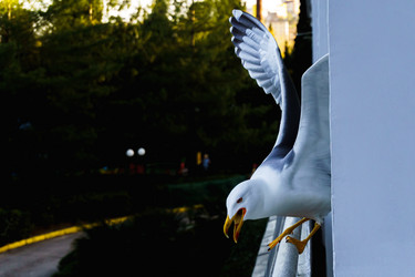 Similar image 21837270