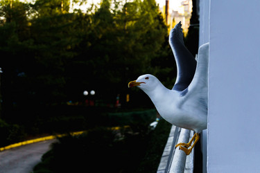 Similar image 21837271