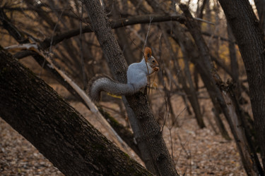 Similar image 21842522