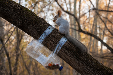 Similar image 21842798