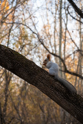 Similar image 21842800