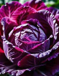 Similar image 21829093