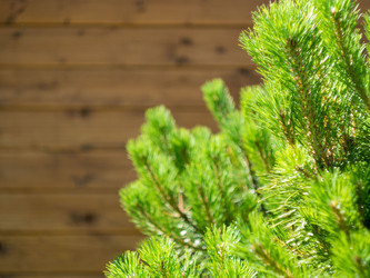 Similar image 21836171