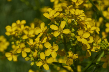 Similar image 21832992