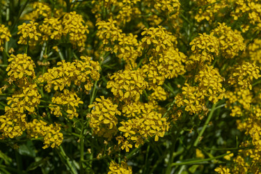 Similar image 21828363